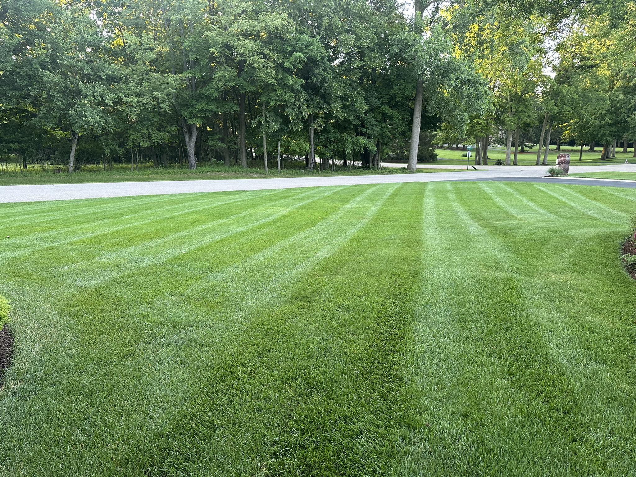 Professional lawn mowing